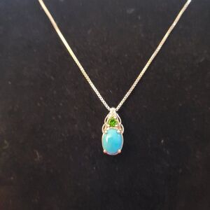 Sleeping Beauty Turquoise & Chrome Diopside Sterling Silver Pendant Necklace